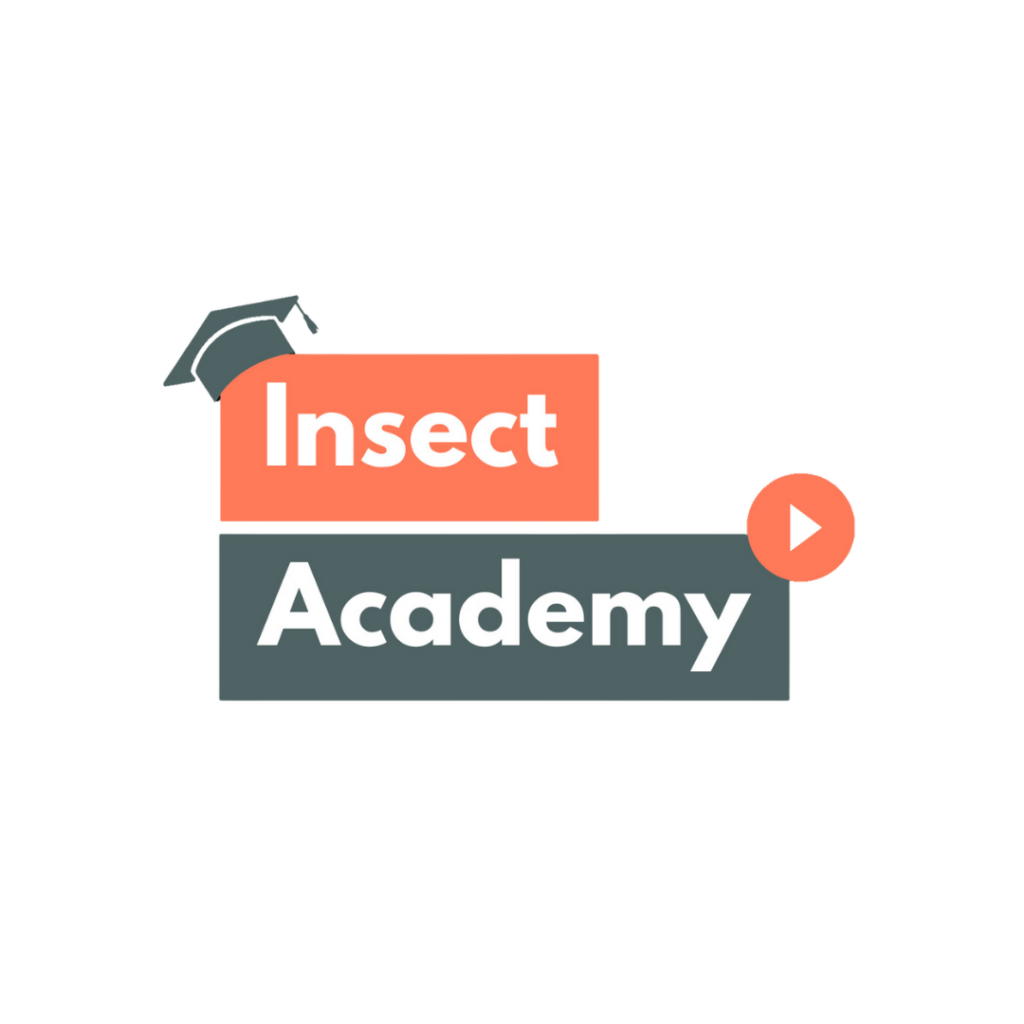 Insect Academy